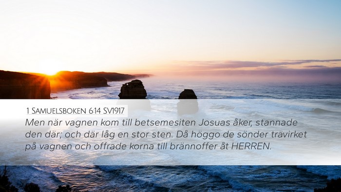 1 Samuelsboken 6:14 SV1917 Bible Verse Image