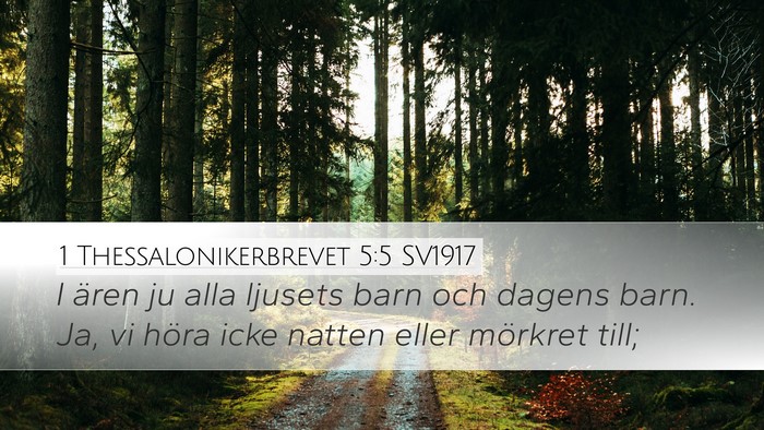 1 Thessalonikerbrevet 5:5 SV1917 Bible Verse Image