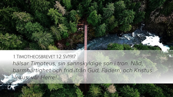 1 Timotheosbrevet 1:2 SV1917 Bible Verse Image