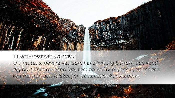 1 Timotheosbrevet 6:20 SV1917 Bible Verse Image