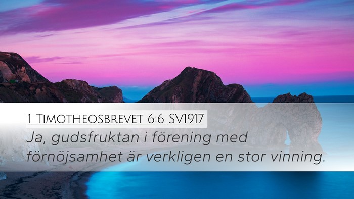1 Timotheosbrevet 6:6 SV1917 Bible Verse Image