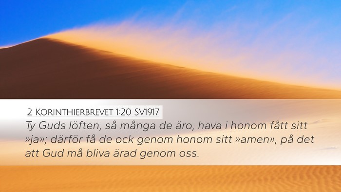 2 Korinthierbrevet 1:20 SV1917 Bible Verse Image