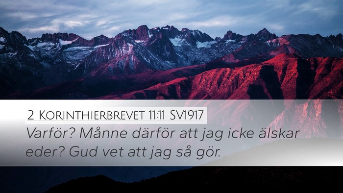 2 Korinthierbrevet 11:11 SV1917 Bible Verse Image
