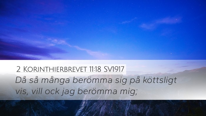 2 Korinthierbrevet 11:18 SV1917 Bible Verse Image