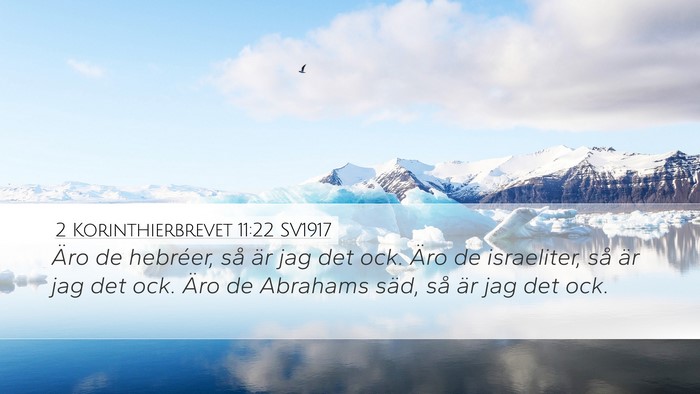 2 Korinthierbrevet 11:22 SV1917 Bible Verse Image