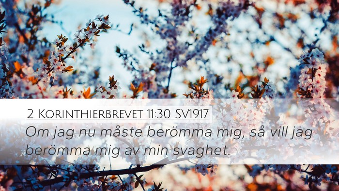 2 Korinthierbrevet 11:30 SV1917 Bible Verse Image