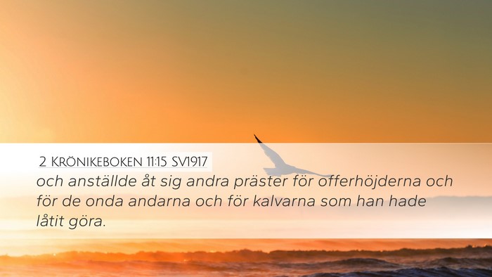 2 Krönikeboken 11:15 SV1917 Bible Verse Image