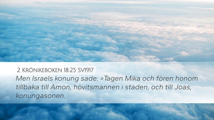 2 Krönikeboken 18:25 SV1917 Bible Verse Image