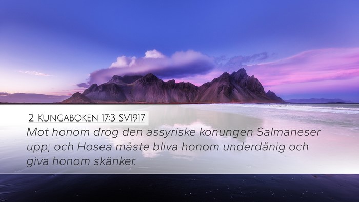 2 Kungaboken 17:3 SV1917 Bible Verse Image