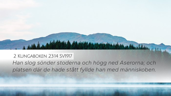 2 Kungaboken 23:14 SV1917 Bible Verse Image