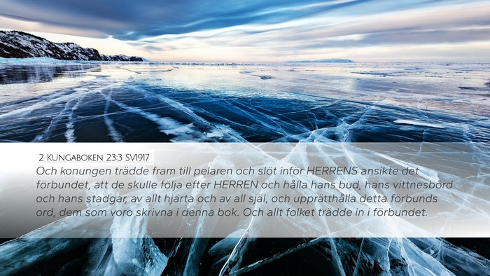 2 Kungaboken 23:3 SV1917 Bible Verse Image