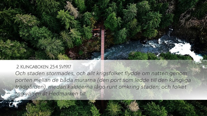 2 Kungaboken 25:4 SV1917 Bible Verse Image