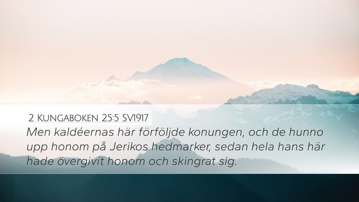 2 Kungaboken 25:5 SV1917 Bible Verse Image