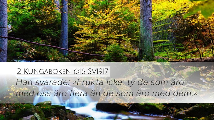 2 Kungaboken 6:16 SV1917 Bible Verse Image