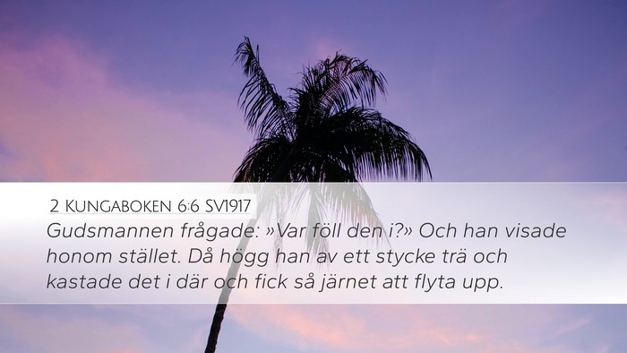 2 Kungaboken 6:6 SV1917 Bible Verse Image