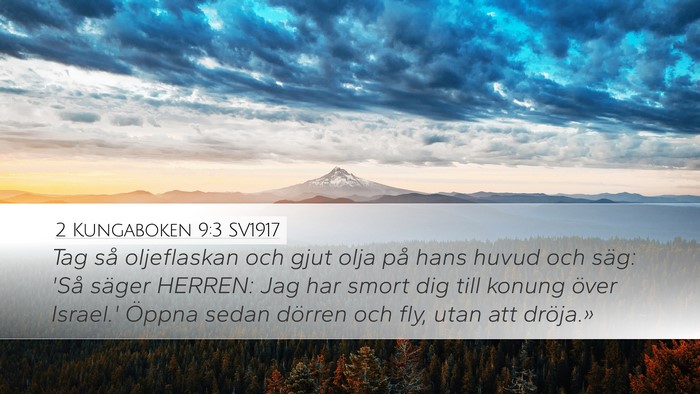 2 Kungaboken 9:3 SV1917 Bible Verse Image