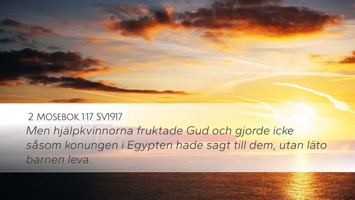 2 Mosebok 1:17 SV1917 Bible Verse Image