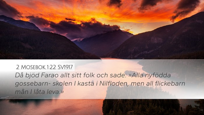 2 Mosebok 1:22 SV1917 Bible Verse Image