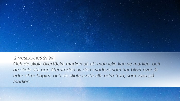 2 Mosebok 10:5 SV1917 Desktop Wallpaper - Och de skola övertäcka marken så att man icke - Desktop Bible Verse Wallpaper