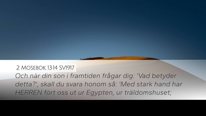 2 Mosebok 13:14 SV1917 Bible Verse Image
