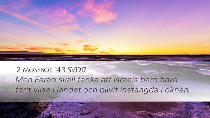 2 Mosebok 14:3 SV1917 Bible Verse Image
