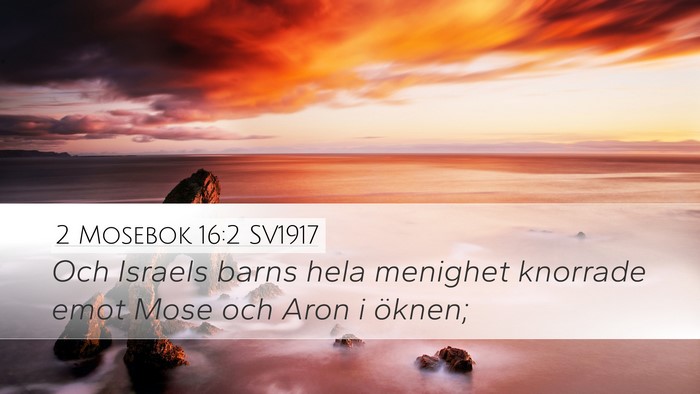 2 Mosebok 16:2 SV1917 Bible Verse Image