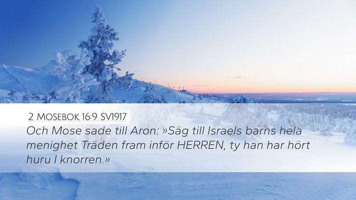 2 Mosebok 16:9 SV1917 Desktop Wallpaper - Och Mose sade till Aron: »Säg till Israels - Desktop Bible Verse Wallpaper