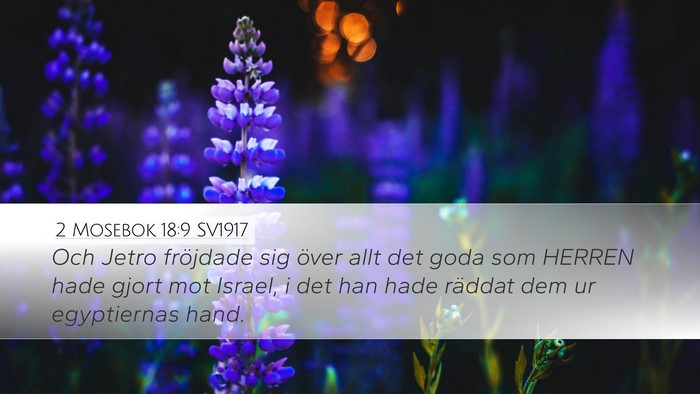 2 Mosebok 18:9 SV1917 Bible Verse Image