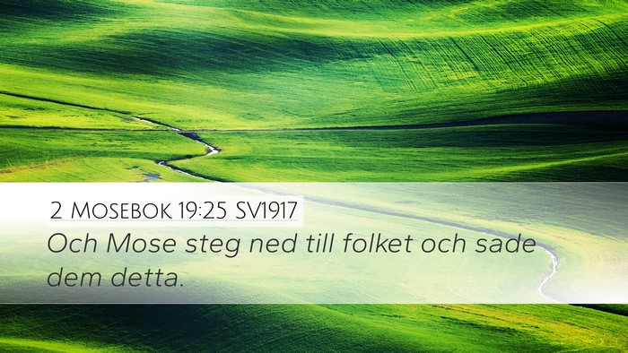 2 Mosebok 19:25 SV1917 Desktop Wallpaper - Och Mose steg ned till folket och sade dem - Desktop Bible Verse Wallpaper