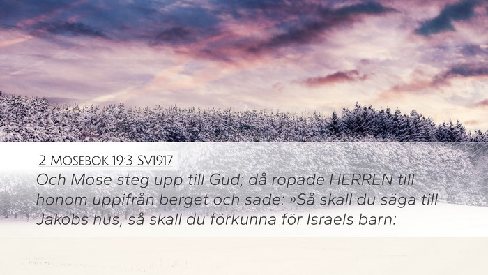2 Mosebok 19:3 SV1917 Bible Verse Image