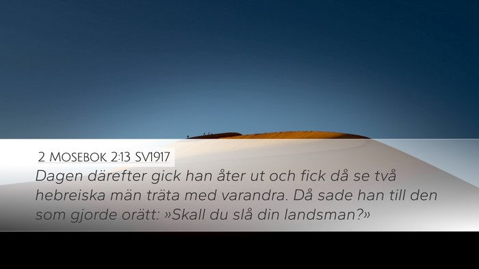 2 Mosebok 2:13 SV1917 Bible Verse Image