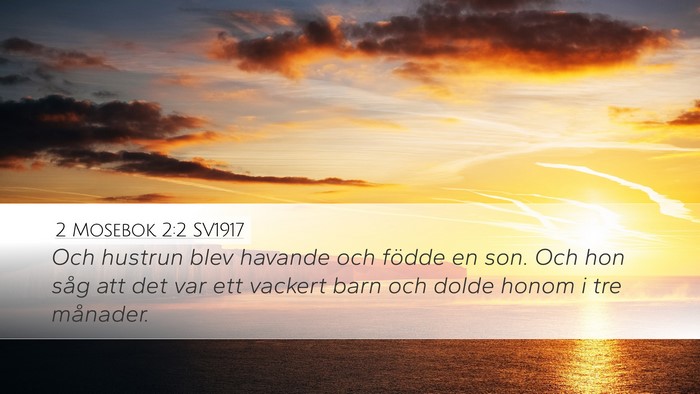 2 Mosebok 2:2 SV1917 Bible Verse Image