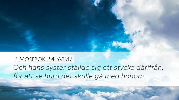 2 Mosebok 2:4 SV1917 Desktop Wallpaper - Och hans syster ställde sig ett stycke - Desktop Bible Verse Wallpaper