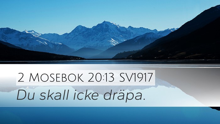 2 Mosebok 20:13 SV1917 Bible Verse Image