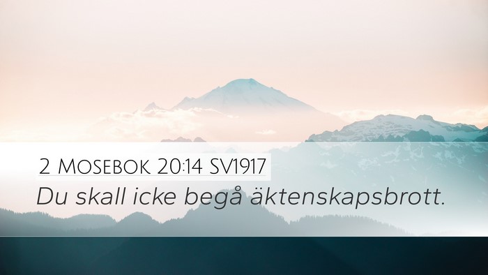 2 Mosebok 20:14 SV1917 Bible Verse Image