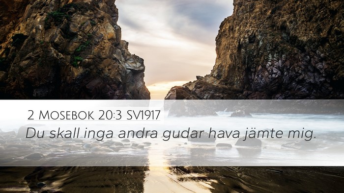 2 Mosebok 20:3 SV1917 Bible Verse Image