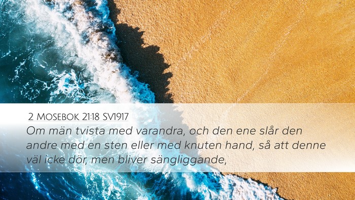 2 Mosebok 21:18 SV1917 Bible Verse Image