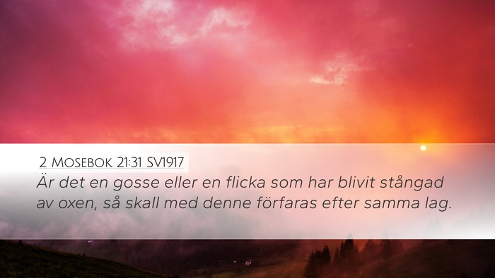 2 Mosebok 21:31 SV1917 Desktop Wallpaper - Är det en gosse eller en flicka som har blivit - Desktop Bible Verse Wallpaper