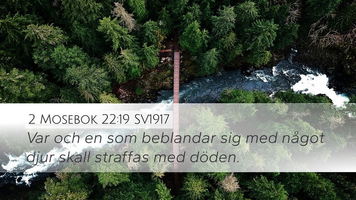 2 Mosebok 22:19 SV1917 Bible Verse Image