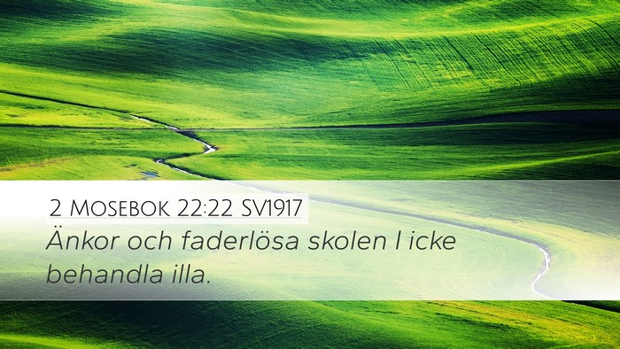 2 Mosebok 22:22 SV1917 Bible Verse Image