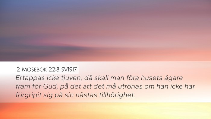 2 Mosebok 22:8 SV1917 Bible Verse Image