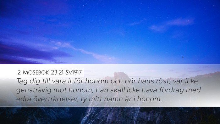 2 Mosebok 23:21 SV1917 Bible Verse Image