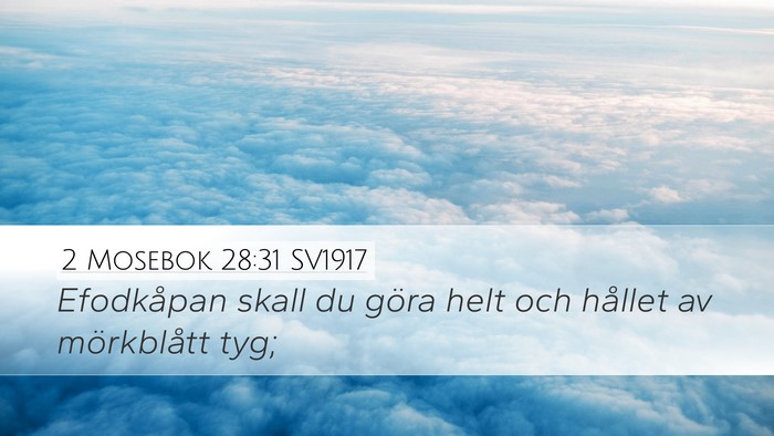 2 Mosebok 28:31 SV1917 Bible Verse Image