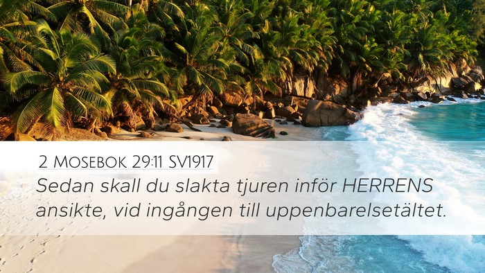 2 Mosebok 29:11 SV1917 Bible Verse Image