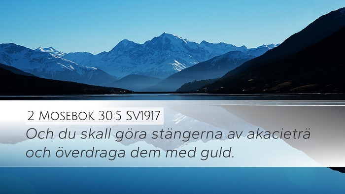 2 Mosebok 30:5 SV1917 Bible Verse Image