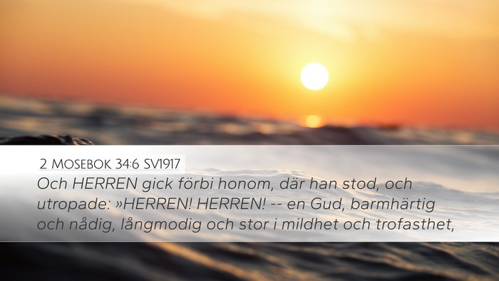 2 Mosebok 34:6 SV1917 Bible Verse Image