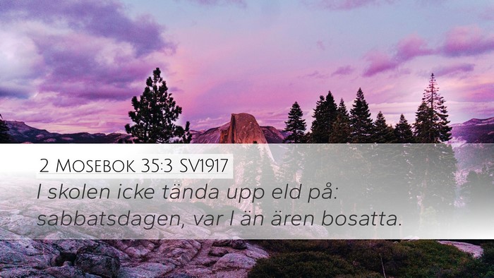 2 Mosebok 35:3 SV1917 Bible Verse Image