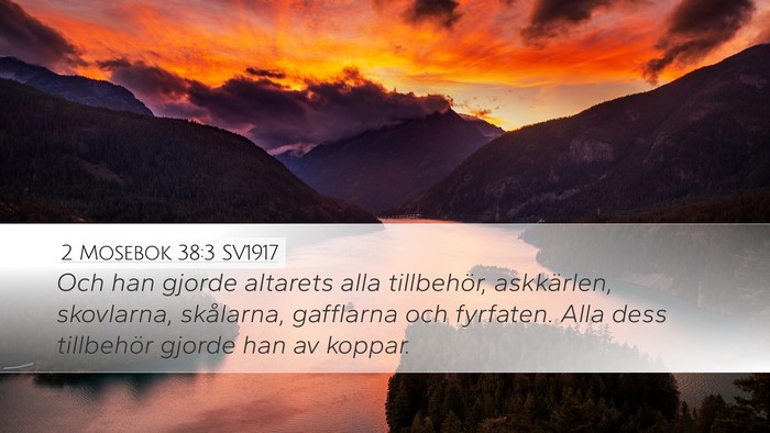 2 Mosebok 38:3 SV1917 Bible Verse Image