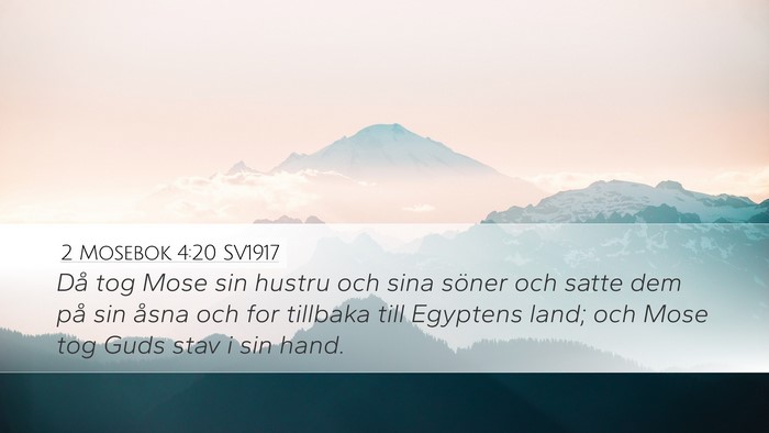 2 Mosebok 4:20 SV1917 Bible Verse Image