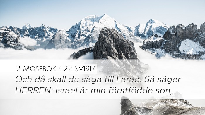 2 Mosebok 4:22 SV1917 Bible Verse Image